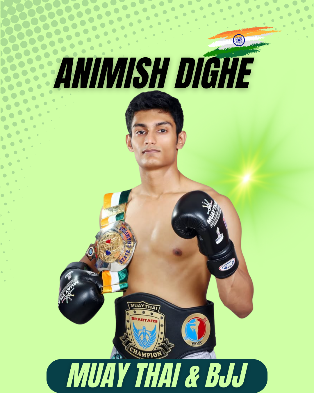 Animish Dighe